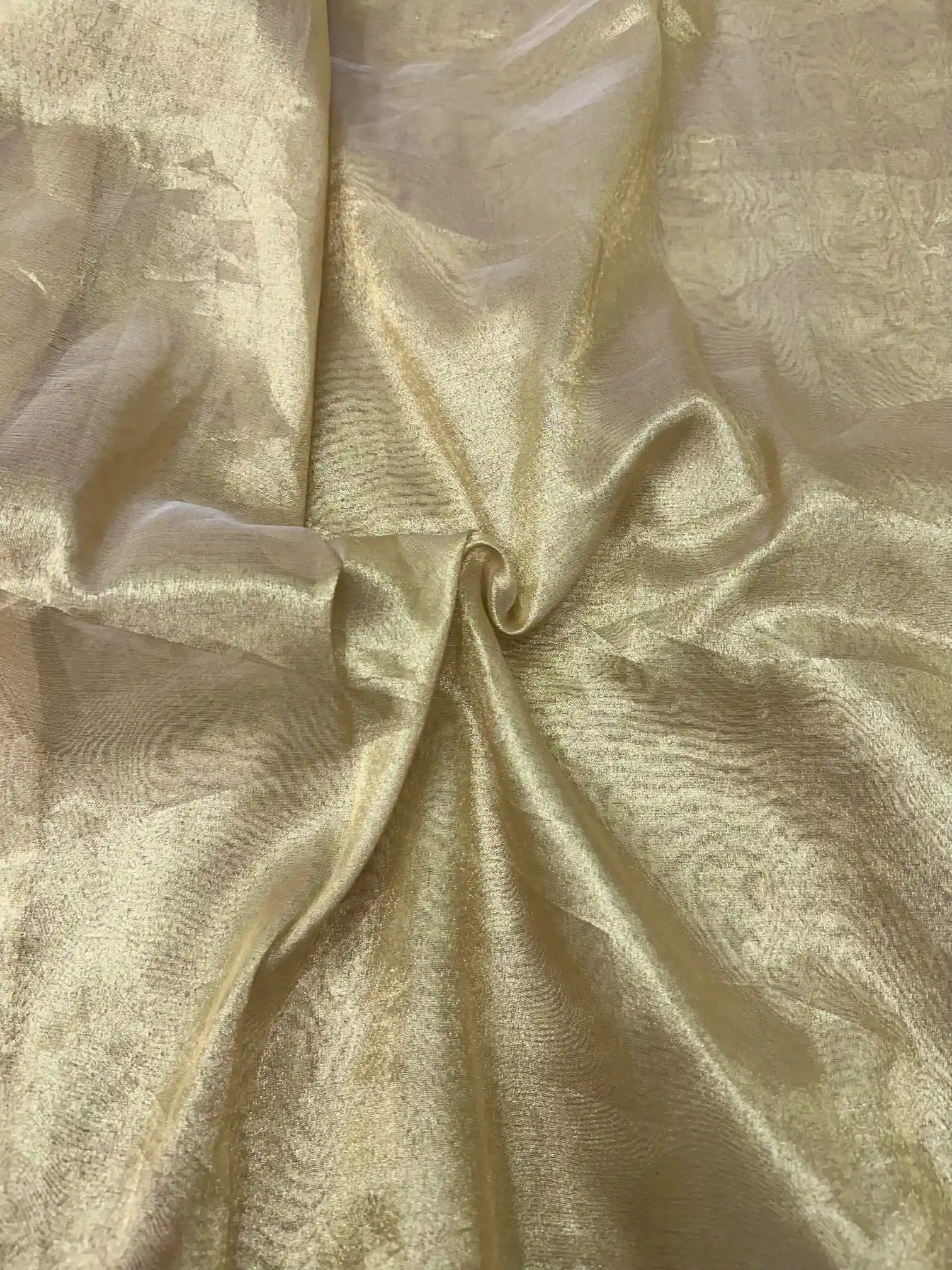 Golden Tissue Silk Crochet Banarasi Saree - Image 3
